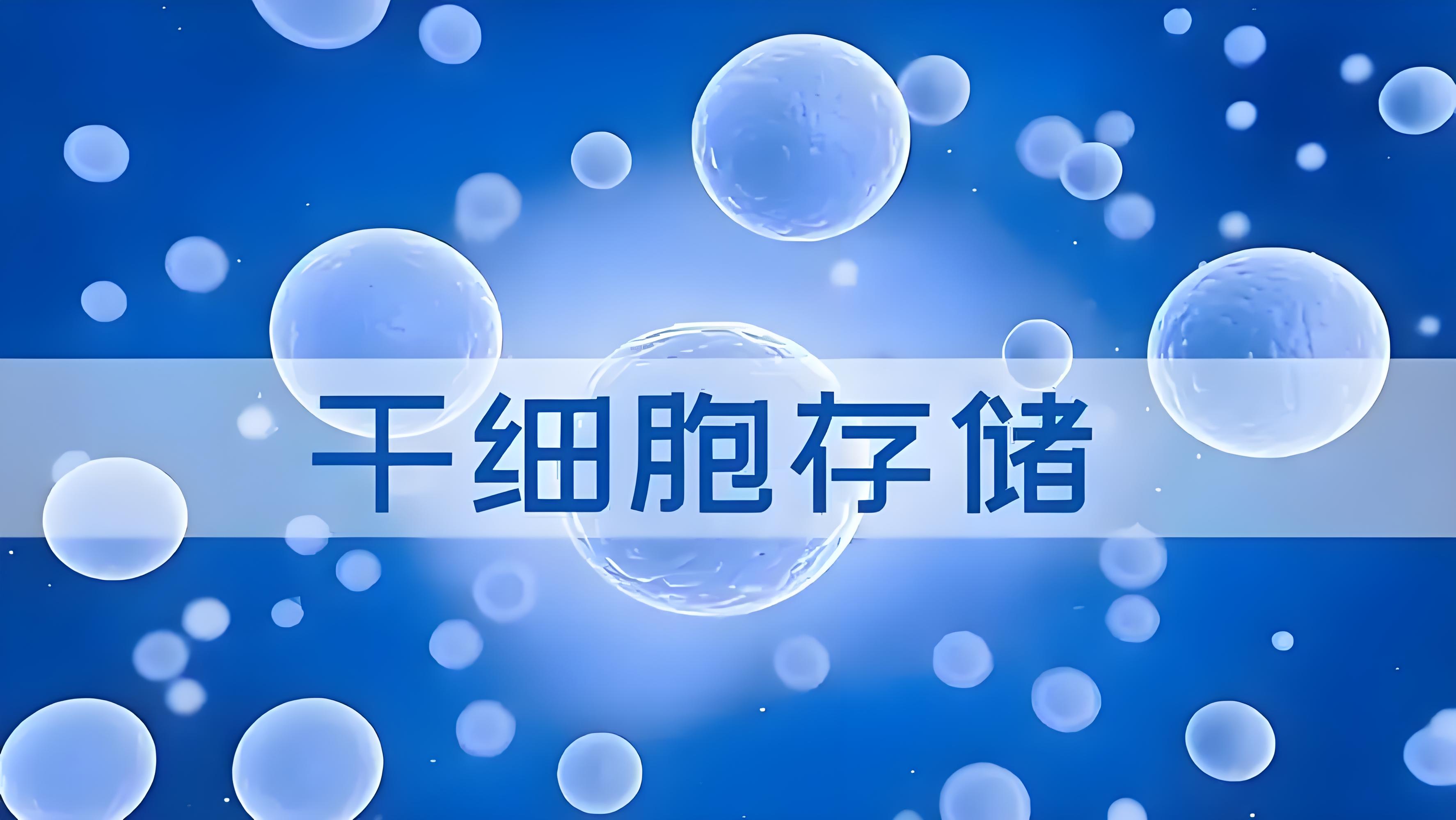 存储造血干细胞的价值与前景解析